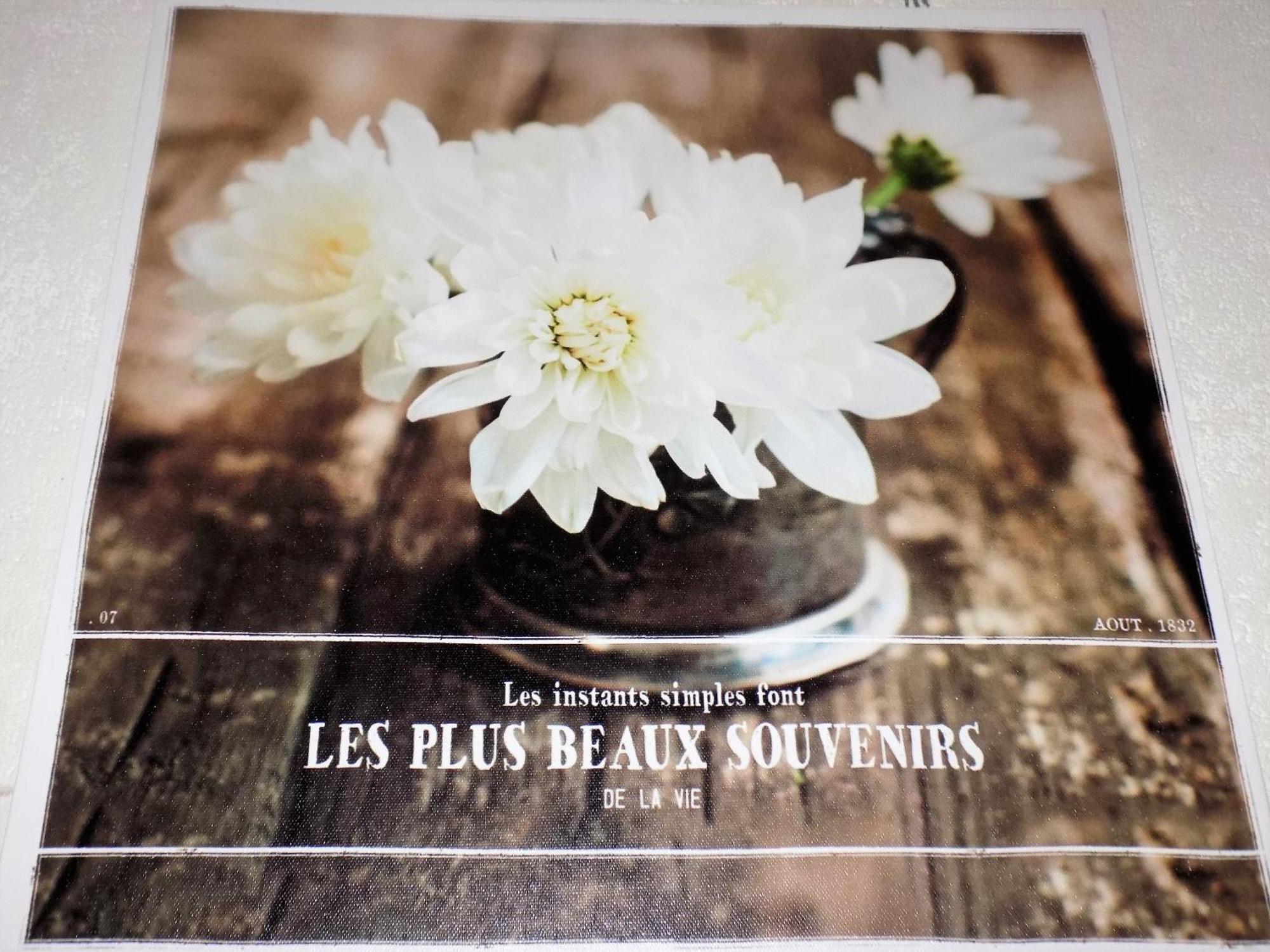 Saint Georges De Didonne - Studio Cabine - Residence Boisee Proche Plage ภายนอก รูปภาพ